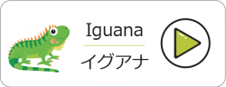 アセット-45@2x-ox533wcxd356x8z6nj9heni8dz52auw68vitvpazb4