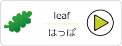 アセット-26@2x-ox540jb6nztm1tki2n54zf0exm9vkigneezrrkwv9c