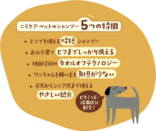 ５つの特徴@2x
