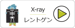 アセット-56@2x-ox518bqm1un4af4p8br05pdb0s74y6muaf67vlhum8