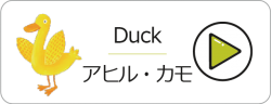 duck-p2vpqn5650hg37zask2i1lak4wnd77l21zw2ndas74