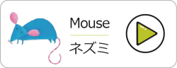 mouse-p2vpsgxvfezinxbq4cidw4otpvn260u9n1k28ql83k