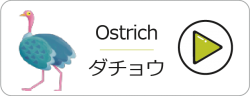orstrich-p2vpswx4nlle5aoij1f1kinntfgasvlpd8nbefxj5s