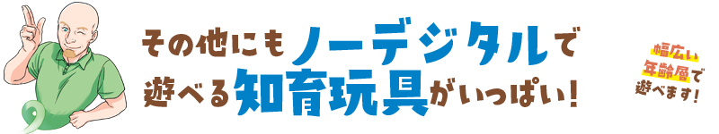 その他にもノーデジタルで
遊べる知育玩具がいっぱい！