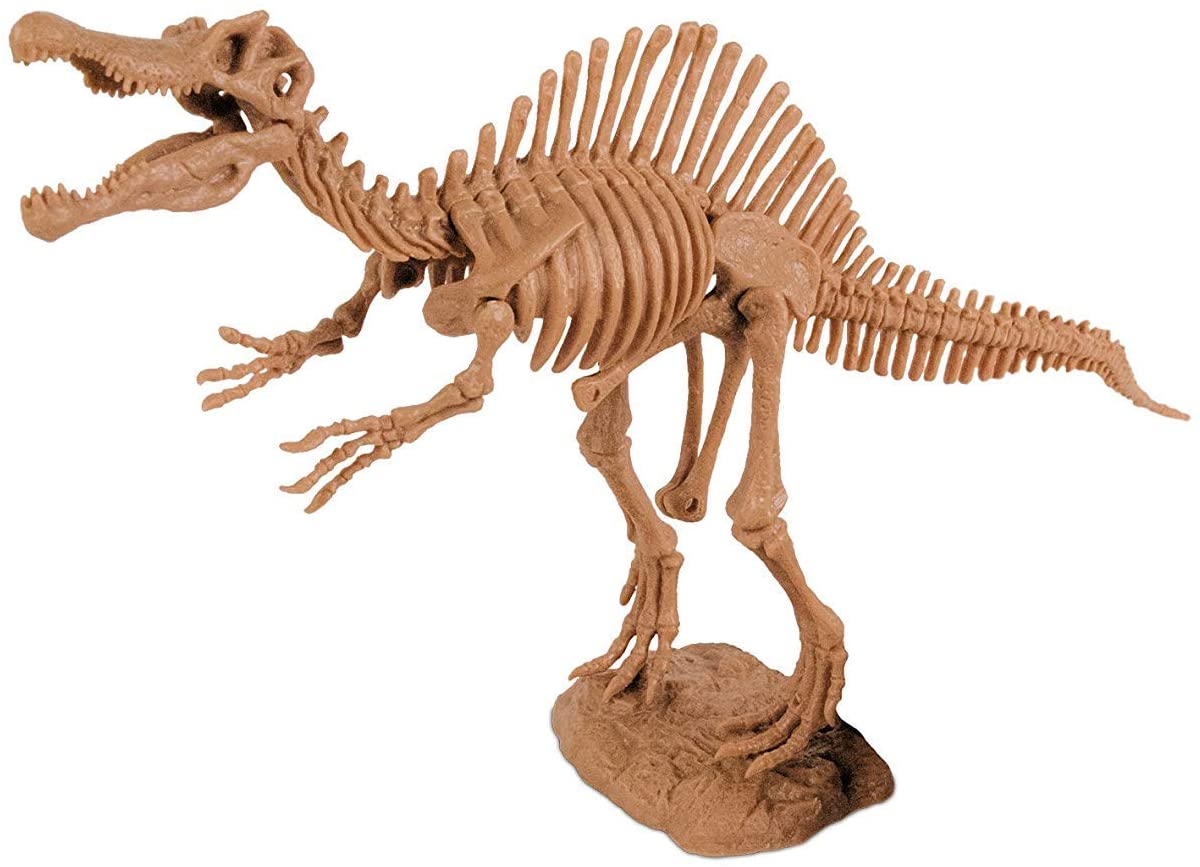 恐竜発掘セット 知育 子供用  おもちゃ 化石発掘キット 骨格組立  ティラノザウルス  上等な 恐竜発掘キット 化石