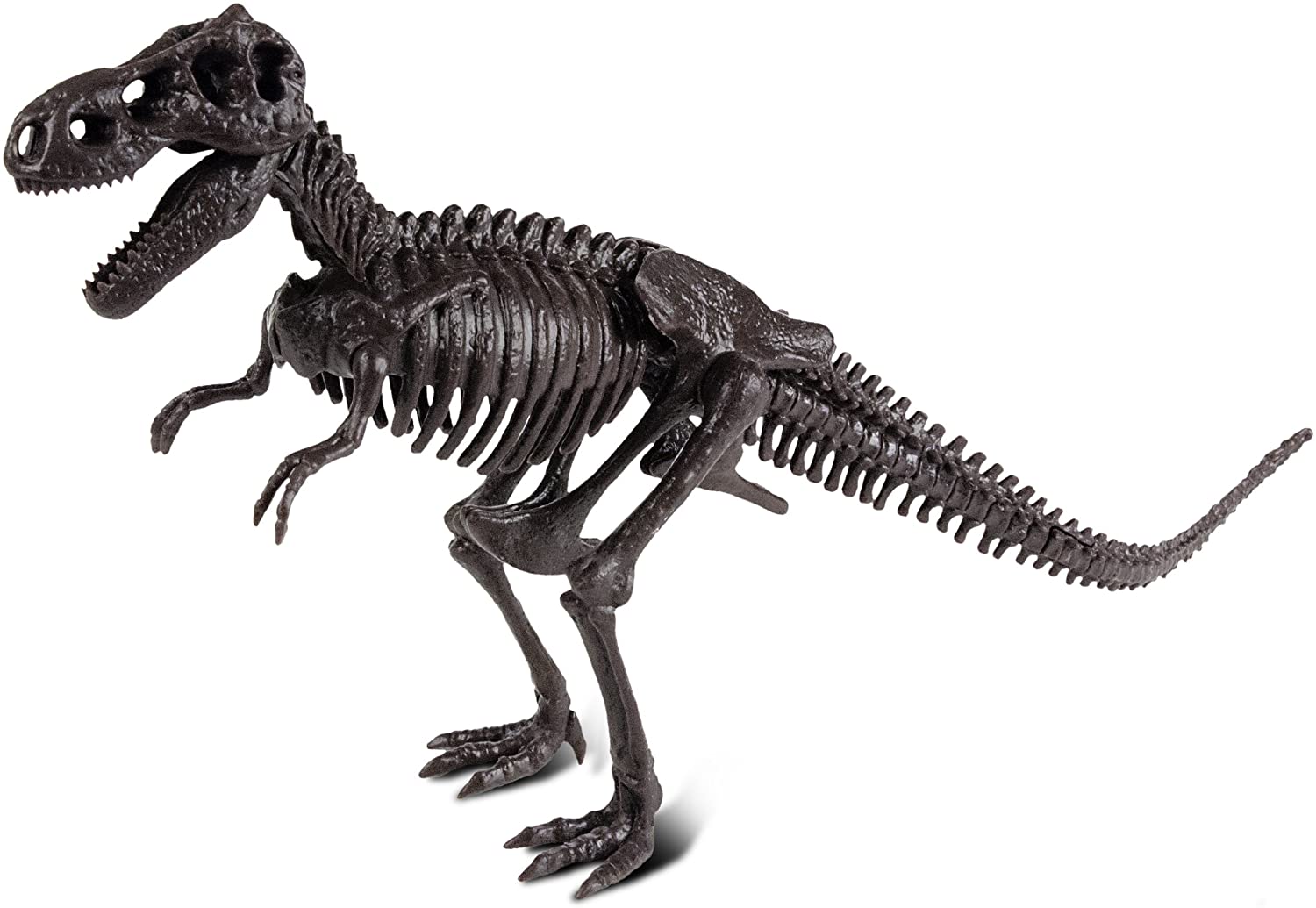 恐竜発掘キット ティラノサウルス 【公式】ドリームブロッサム