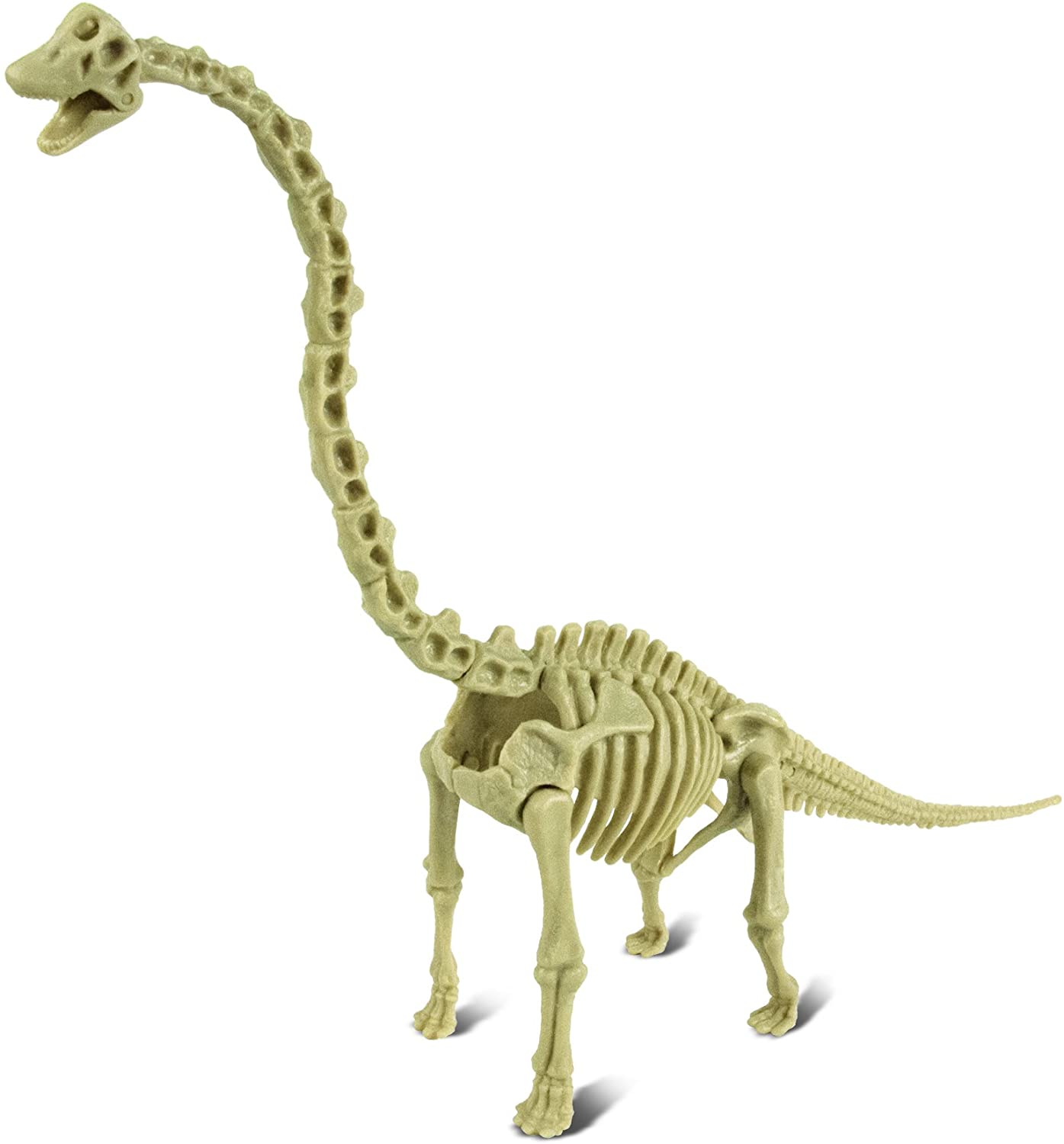 恐竜発掘キット ブラキオサウルス - 【公式】ドリームブロッサム