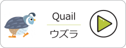 アセット-37@2x-ox53aposwuh13h2tuzb3zfljfjjv3uy46lsk4x7874