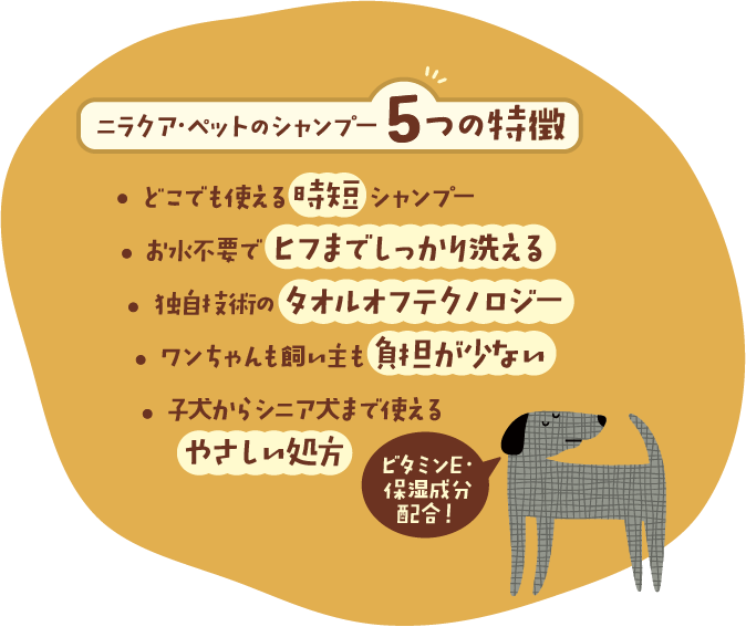 ５つの特徴@2x