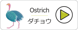orstrich
