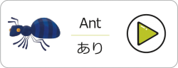 アセット 79@2x